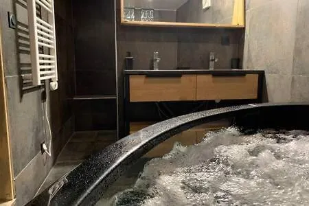 Apartment 'le Loft' Jacuzzi Standing En Centre *
